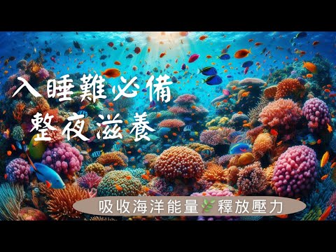 深度睡眠 I 海洋滋養，釋放壓力，吸收來自大海，珊瑚的能量，整夜深睡醒來時充滿能量和精力