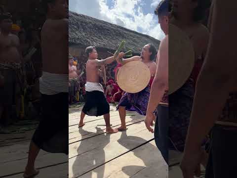 FIGHTS! Bali 2024 🇮🇩 Bali Travel Vlog #baliindonesia #bali #bali2024