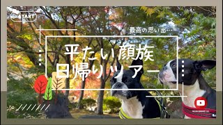 【大分県】耶馬溪ダム「渓石園」に紅葉を見に行こう！