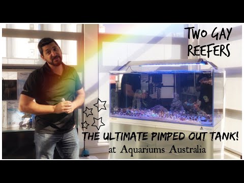 The Ultimate Pimped Out Tank! Reefer Store Tour - Aquariums Australia