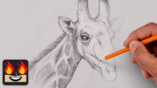 How To Draw a Giraffe | Sketch Tutorial