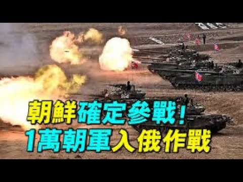 20241101（317）朝鲜军队入俄｜中国不知情｜抗议有何作用｜