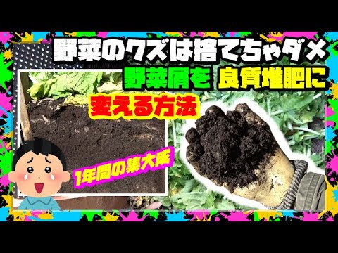 捨てないで❝野菜ゴミ❞ 野菜屑で簡単に上質な堆肥が作れます