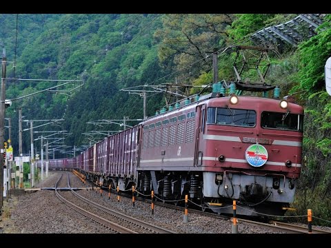 北陸4081レ　16/4/29　EF81-721　富山機関区50周年記念HM付き