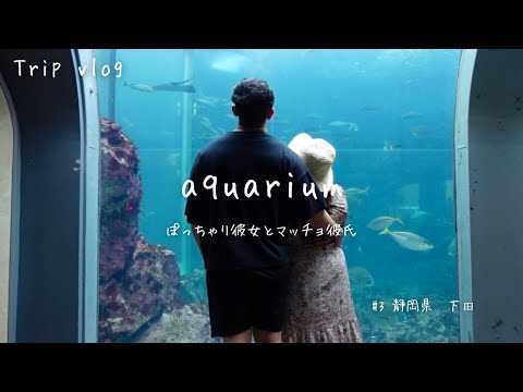 【デートvlog】下田最終日。ゆるっと水族館デート🐟癒されてきました♡