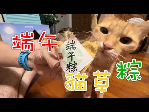 【寵物貓咪】端午節的粽子禮物🎁 ｜ 花多少時間嗑完這顆粽子?  2023.6.20