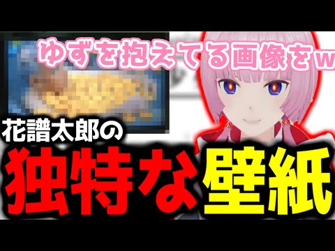 【神椿切り抜き】【花譜】花譜太郎の独特な壁紙【2024/12/21】