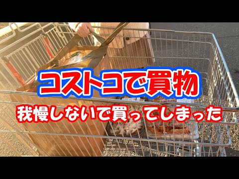 【コストコで購入した商品紹介＃4】コストコでの買物が楽しくて我慢することを忘れついついまた買い過ぎました。今回も新たな発見があり美味しいものが沢山です。ぜひご視聴ください！