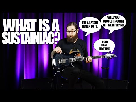 What is a Sustainiac?