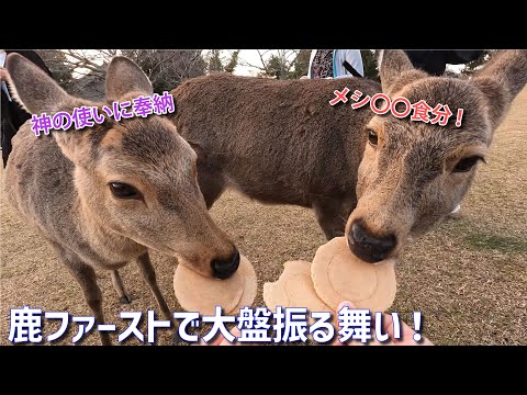 【2024秋】奈良公園で鹿せんべい大人買い！【奈良・東大寺】