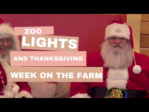 A last minute trip to Kansas and Topeka Zoo Lights!