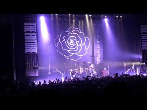 coldrain ‐ envy【Live at ACROSS THE FUTURE】