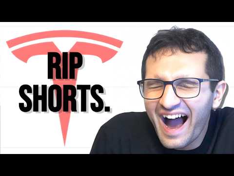 Tesla Shorts Lose BILLIONS + Laughing At Their BEARISH Comments (FUNNY & SATISFYING)