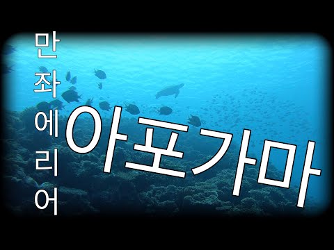 [오키나와 다이빙] 다이빙 포인트소개(아포가마) 핑크머메이드