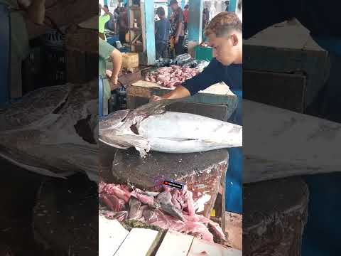 Big Tuna Cutting like a profesional #shorts #fishcutting #fyp #viral #mukbang #tuna #delicious