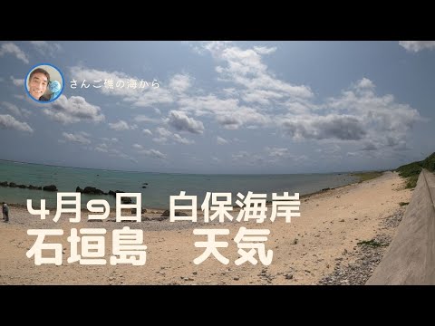 【石垣島天気】4月9日12時ごろ。15秒でわかる今日の石垣島の様子。