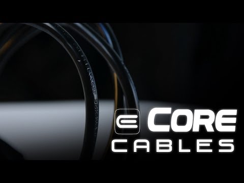 ECore Power Cords