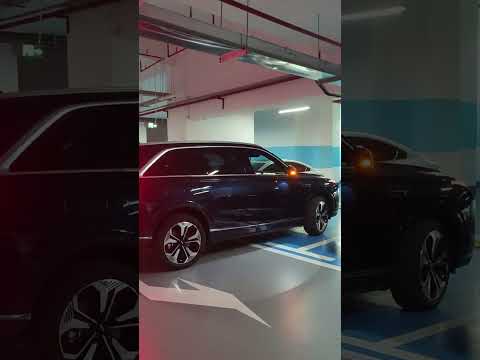 用车日常-魏牌蓝山DHT-PHEV 2023款