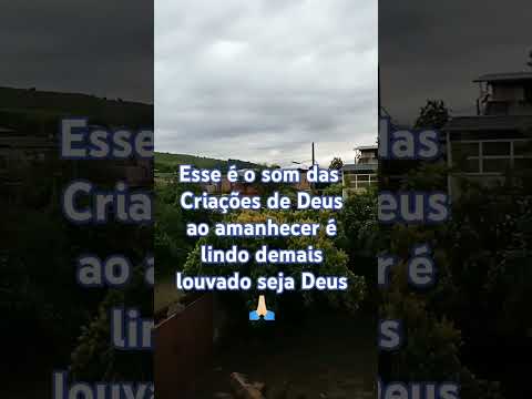 Voz de Deus pela manhã 😍#shorts  #shortviralvideo #paz#motivational #foryou #gratidão