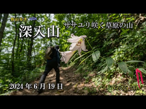 α7Ⅳ & insta360X4【深入山－ササユリ咲く草原の山－】野山歩き2024