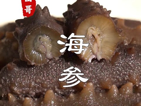 How to cook sea cucumber  this method is very practical# Chaozhou mountain brother# Guangdong cuisi