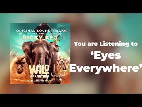 06 Wild Karnataka - Eyes Everywhere - Original Soundtrack by Ricky Kej