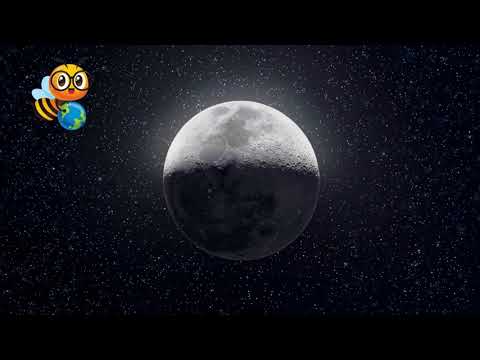 What is the Moon? | Educational Video for Kids