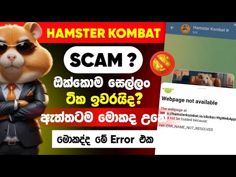 Hamster Kombat Scam උනාද? | Hamster Webpage Not Available | Hamster Open Problem | Hamster News