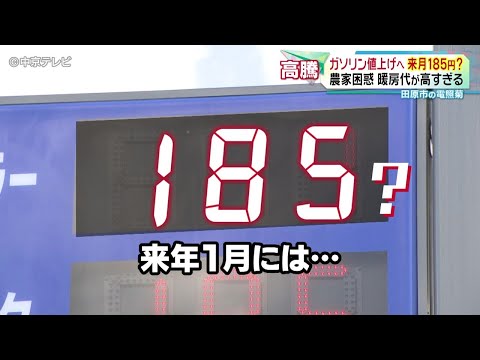 【ガソリン値上げへ】１月に185円？　農家も困惑　暖房代が高すぎる　愛知・田原市の電照菊[2024.12.9 放送]