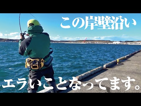 巨大な口で獲物を丸呑みする怪物魚を求めて、北の大地で釣りをしてみた結果…。