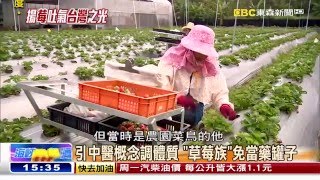 中醫理念種草莓 不當「藥罐子」得金牌《海峽拚經濟》