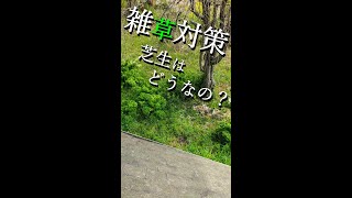 雑草対策に芝生！