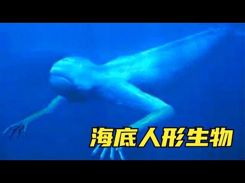 4个在海底发现的神秘物品，潜水员拍到的人形生物是什么？