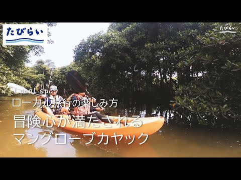 【沖縄旅行】 マングローブの木でできたトンネルを水上散歩！亜熱帯の川と海で冒険カヤックの旅