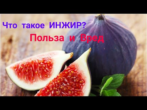 Что такое ИНЖИР? Польза и Вред для организма