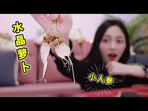 130块一斤的天价萝卜！人称小人参的“水晶萝卜”能有多好吃？