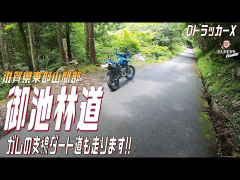 【DトラッカーX #131】滋賀県東部山間部を走るロング舗装林道の御池林道を走る。枝道はガレ、溝、段差、水溜まりありの走りにくいダート。走って楽しい林道ツーリング。【滋賀】【ダート林道】