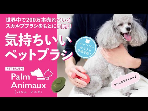 ペット用ブラシpalm animaux（パルム アニモ）商品紹介｜エス・ハート・エス