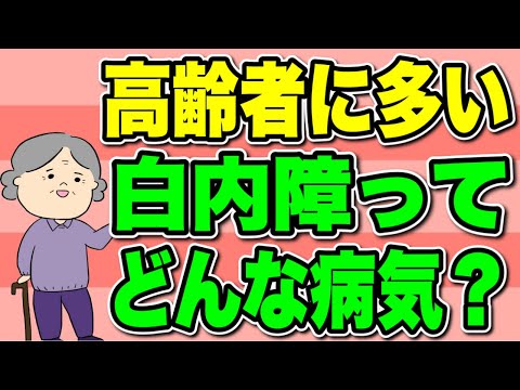 白内障ってどんな病気？高齢者に多い白内障を解説！