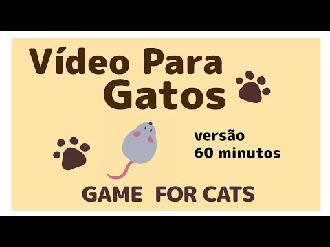 Vídeo para gatos　60 minutos