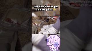 #vtuber starts screaming during her stream #engvtuber #vtuberclips #vtubermemes #shorts