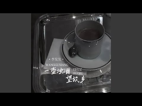 一壶浊酒望故乡 (女版伴奏)