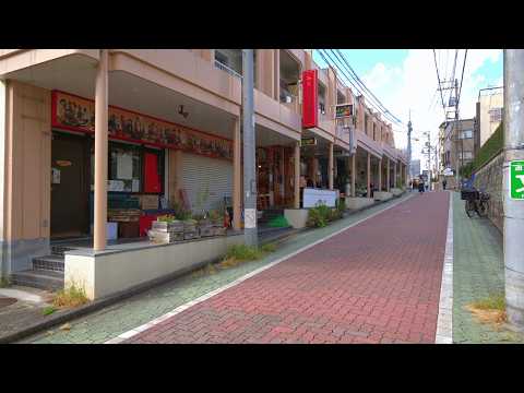 Tokyo [8K HDR] A walk starting from Honancho Station