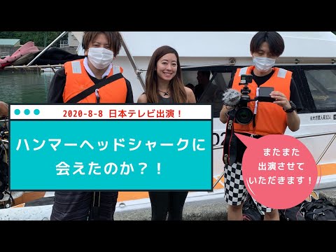 【志村どうぶつ園】稲生薫子出演★ハンマーヘッドシャークはなぜ神子元島に集まる！？