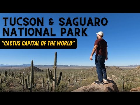 Tucson and Saguaro National Park 🌵 - Everything You MUST See in Arizona’s Desert Wonderland 🌵