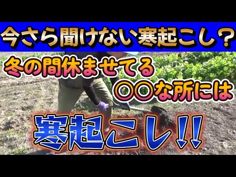 【家庭菜園】寒起こしとは？土にメリットたくさんの簡単作業!!【土作り】【農業初心者】【園芸】