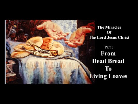 Chris Reed | JRC Sunday Service 10:30 | From Dead Bread to Living Loaves | Part 4 of Miracles