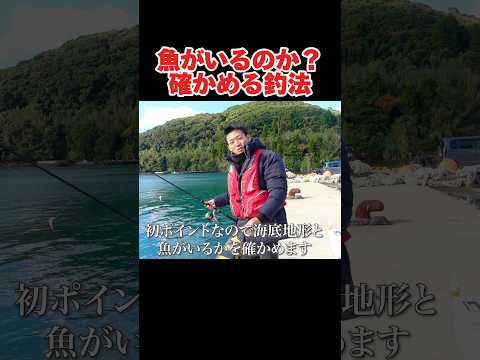 魚がいるかを確かめる釣り方【ポイント選び参考】#釣り#九州釣り#長崎釣り