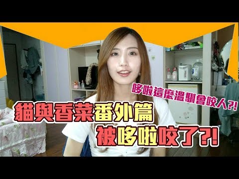 《貓與香菜番外篇》#6 被哆啦咬了?!