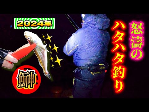 2024年【秋田 ハタハタ釣り】１時間半で一匹…厳しい〜誰も釣れてない中で釣れた。